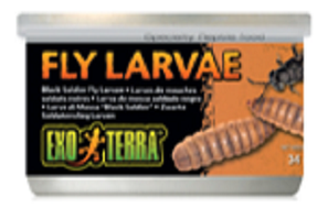Exo Terra Black Soldier Fly Larvae 1.2oz