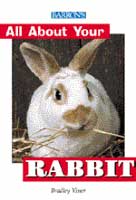 All About Your Rabbit