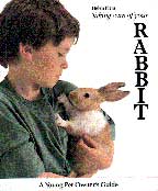 Taking Care of Your Rabbit A Young Pet Owner's Guide