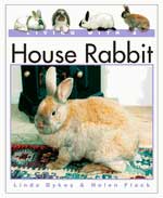 Living With A House Rabbit