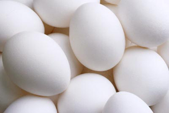 White Egg Layer Assortment