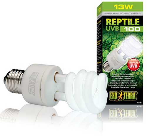 Exo-Terra Repti Glo 5.0 Compact Bulb