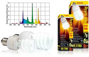 Exo-Terra Repti Glo 2.0 Compact Bulb