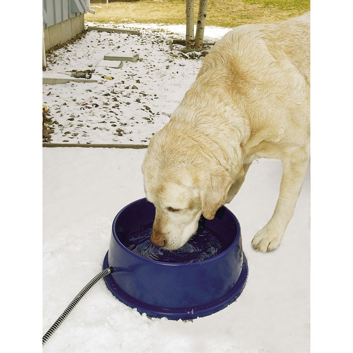 Thermal-Bowl Heated Water Bowl