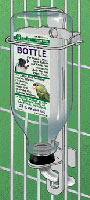 Oasis Glass Water Bottle