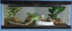 Visionarium 30"x 12"x 12" High