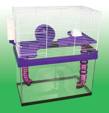 Cage Topper 10 Gallon Hamster Tank Setup KAYTEE My First Home