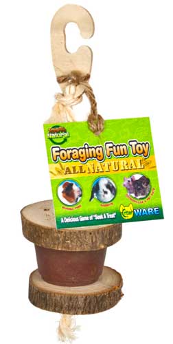 Toys - Foraging