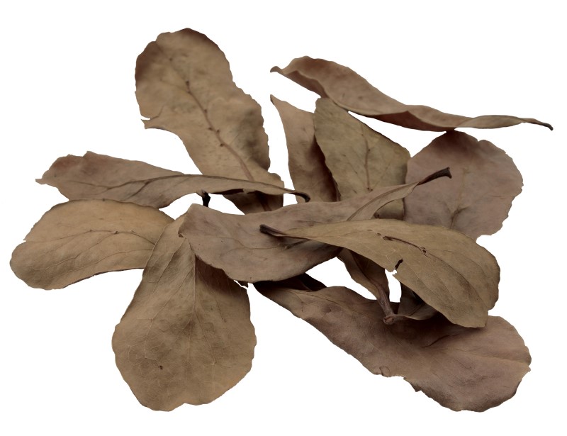 Fluval Betta Tropical Almond Leaves - 10 pack