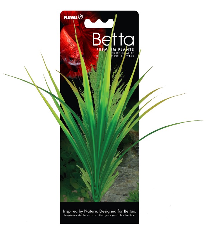 Fluval Betta Yellow Parrot Feather Plant - 8 in - Click Image to Close