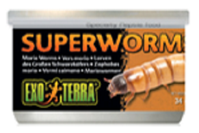 Exo Terra Super Worms 1.1oz - Click Image to Close