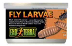 Exo Terra Black Soldier Fly Larvae 1.2oz - Click Image to Close