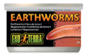 Exo Terra Earthworms 1.2oz