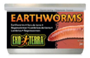 Exo Terra Earthworms 1.2oz - Click Image to Close