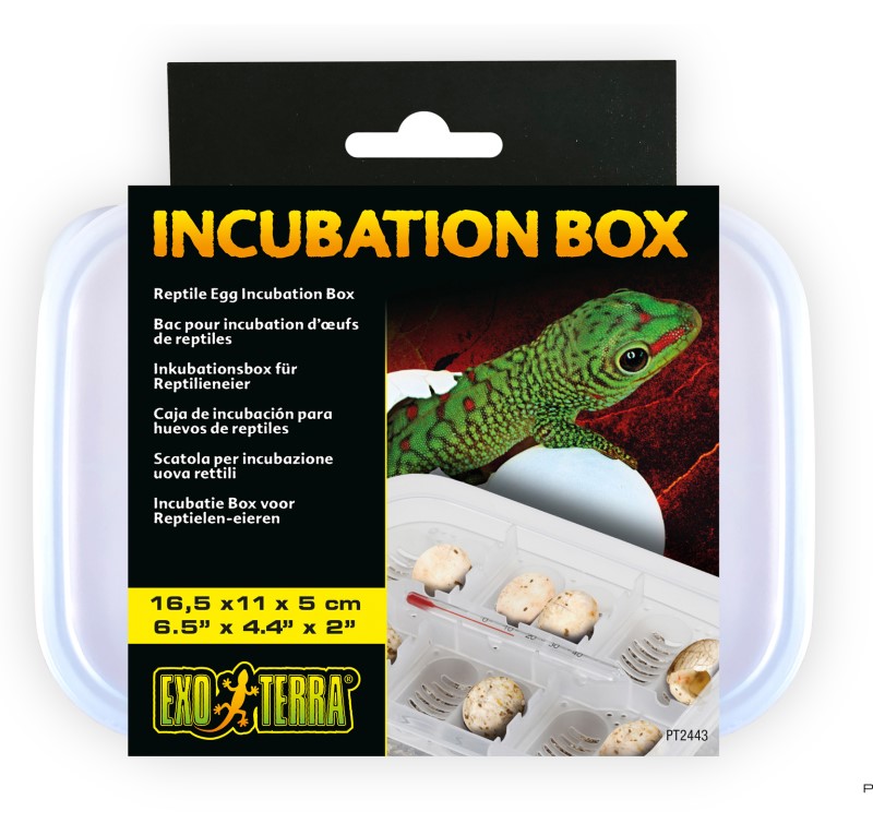 Exo Terra Incubation Box - Click Image to Close