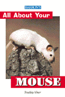 All About Your Mouse
