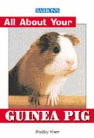 All About Your Guinea Pig