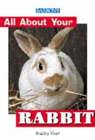 All About Your Rabbit - Click Image to Close