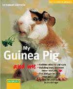 My Guinea Pig and Me - Click Image to Close