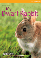 My Dwarf Rabbit