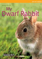 My Dwarf Rabbit - Click Image to Close