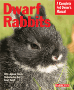 Dwarf Rabbit A Complete Pet Owner's Manual