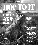 Hop To It How to Understand Rabbits As Pets