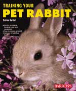 Training Your Pet Rabbit - Click Image to Close