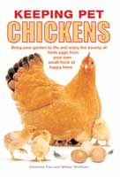 Keeping Pet Chickens - Click Image to Close