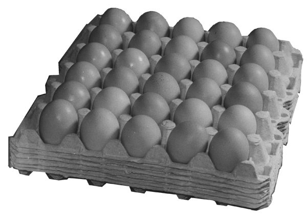 Egg Trays (30 Chicken Eggs)