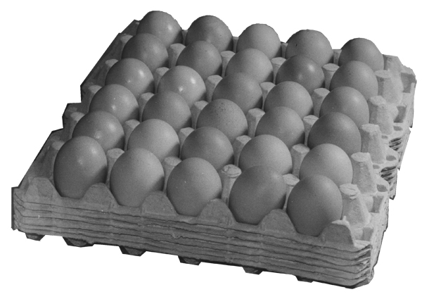 Egg Trays (30 Chicken Eggs) - Click Image to Close