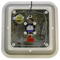 Hova-Bator Incubator with Picture Window Thermal Air Flow