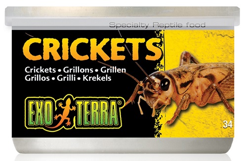 Exo Terra Canned Crickets 1.2 oz