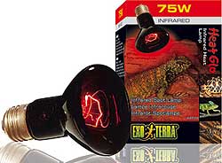 Exo Terra Heat Glo Infrared Spot Heat Bulb - Click Image to Close