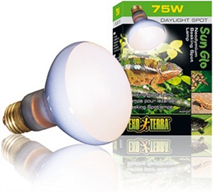 Exo Terra Daylight Basking Spot Lamps - Click Image to Close