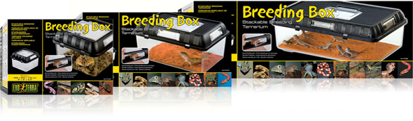 Exo Terra Breeding Box - Click Image to Close