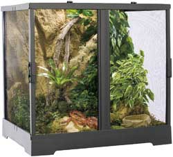 The Exo Terra Screen Terrarium - Click Image to Close