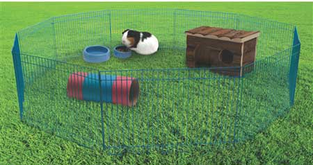 Living World Critter Playtime Pen