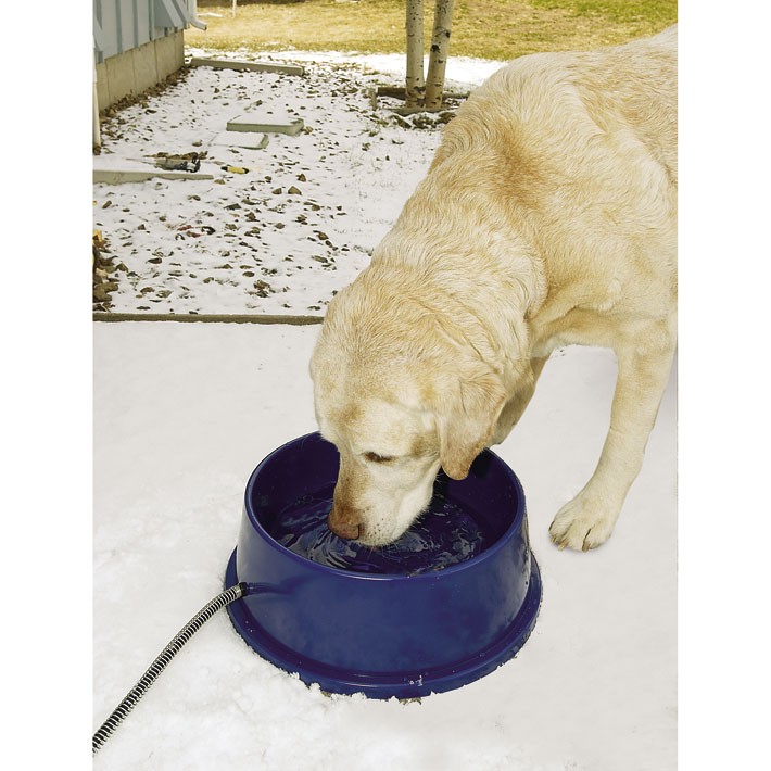 Thermal-Bowl Heated Water Bowl - Click Image to Close