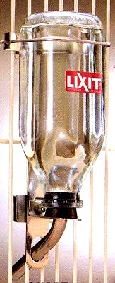 Lixit 32 oz. Heavy Duty Glass Water Bottle - Click Image to Close