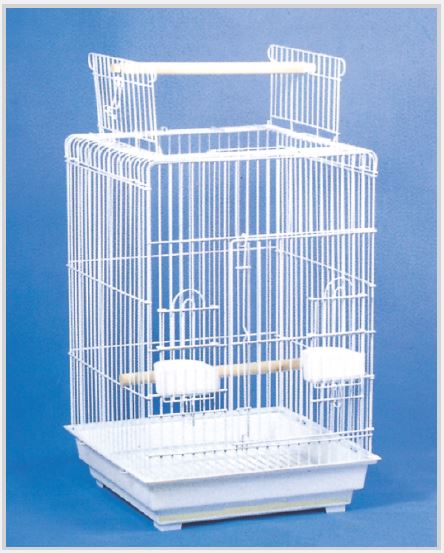 Open Top Small Parrot Cage by TSI - Click Image to Close