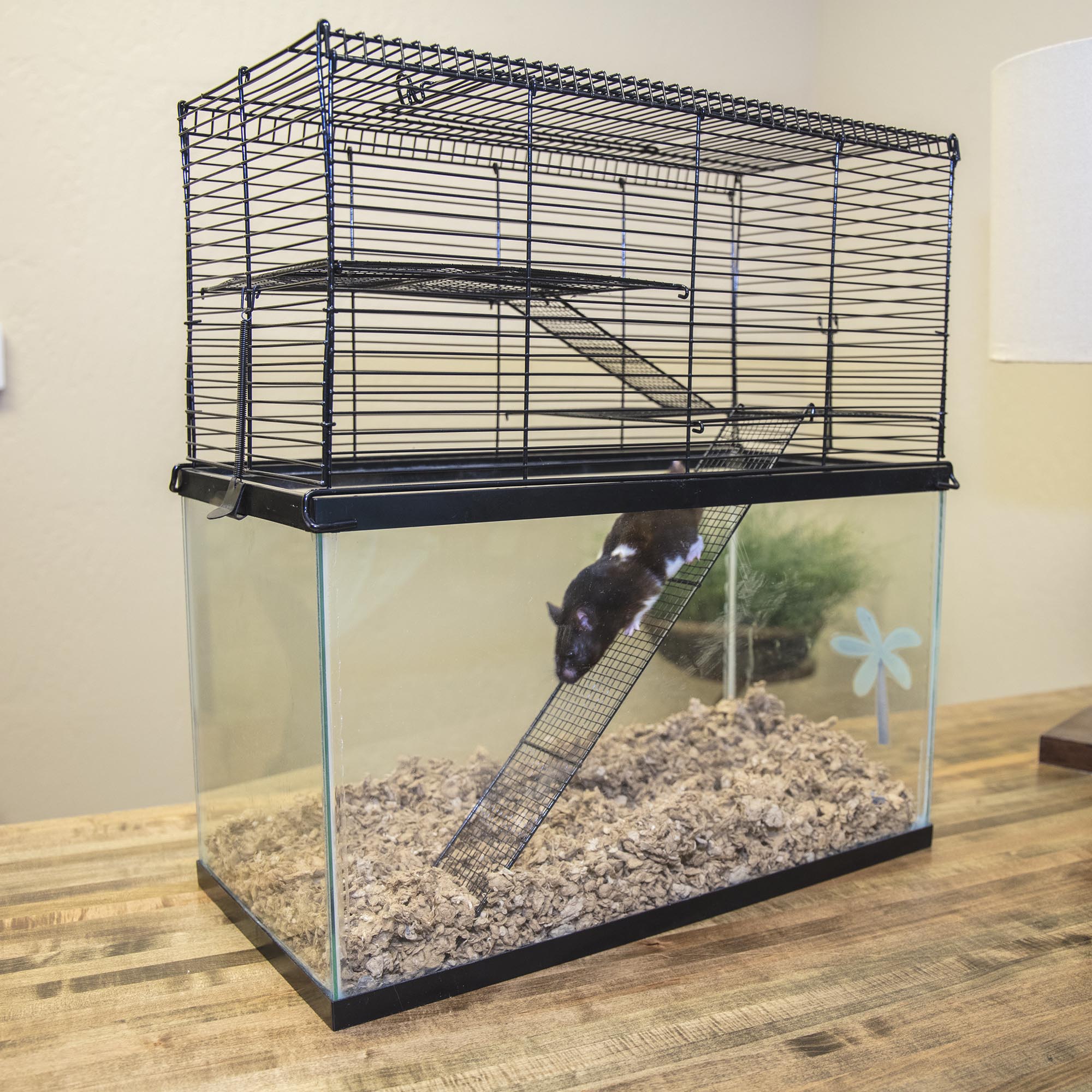 Chew Proof Small Animal High Rise Tank Toper