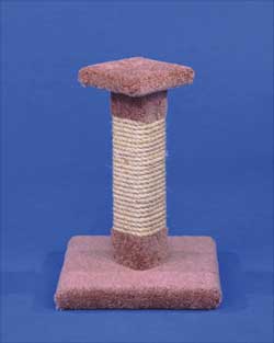 Kitty Cactus with Sisal & Top 18"