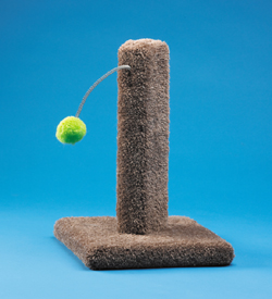 Kitty Cactus 16" with Pom Pom
