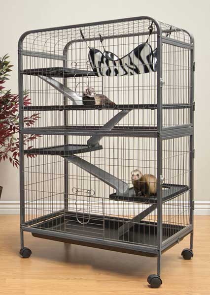 Living Room Ferret Home by Ware Pet - Click Image to Close