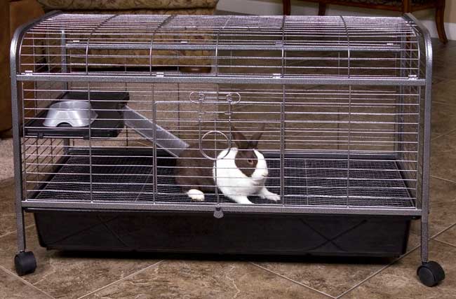 guinea pig cages tractor supply